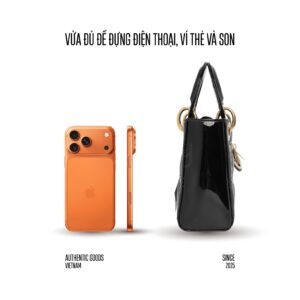 Túi Dior Mini Lady Dior Bag Black Patent Cannage Calfskin